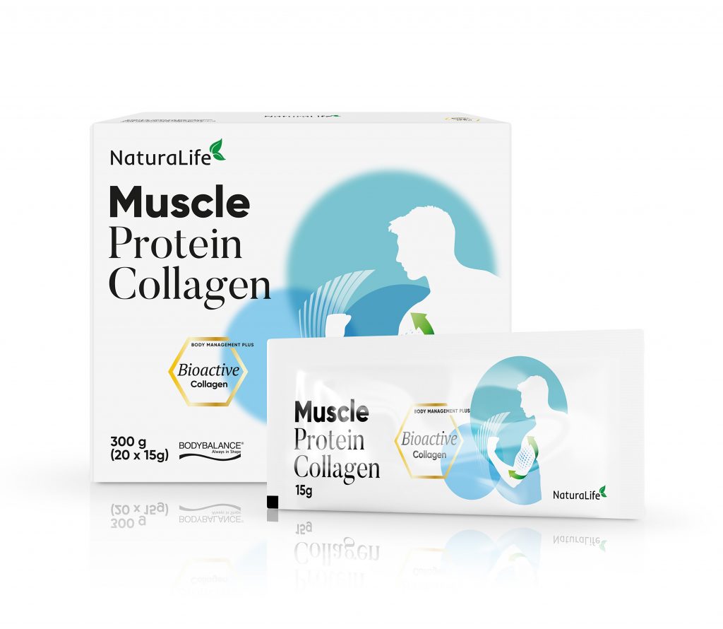 mišići protein kolagen
