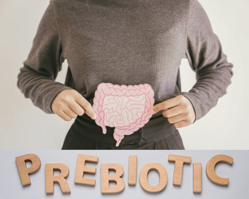 prebiotic inulin probiotic
