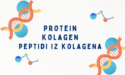 kolagen petid protein